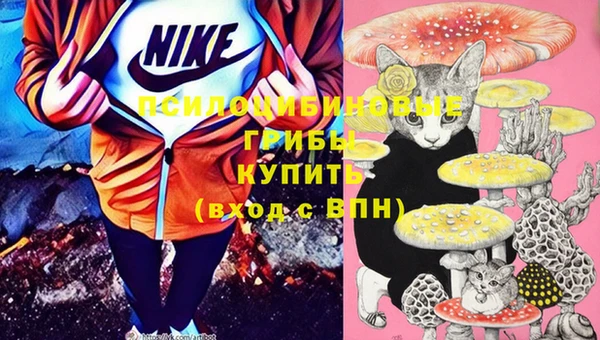 круглые Покачи