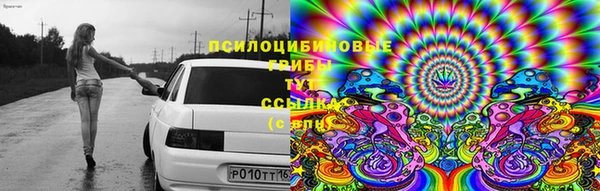 круглые Покачи