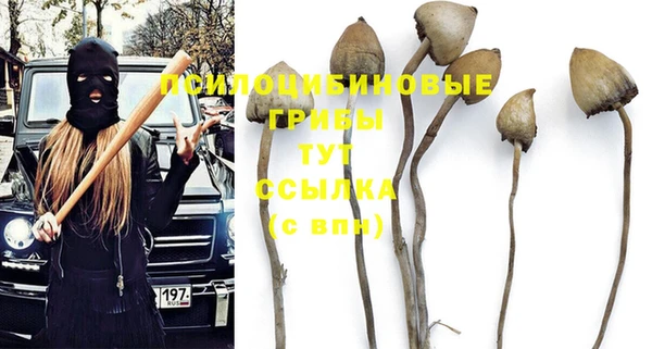 круглые Покачи