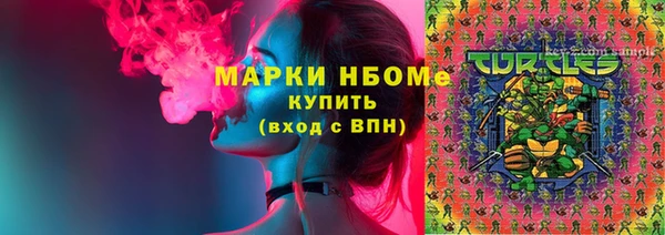индика Приозерск