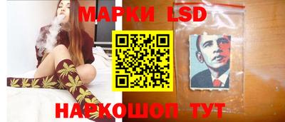 spice Обнинск