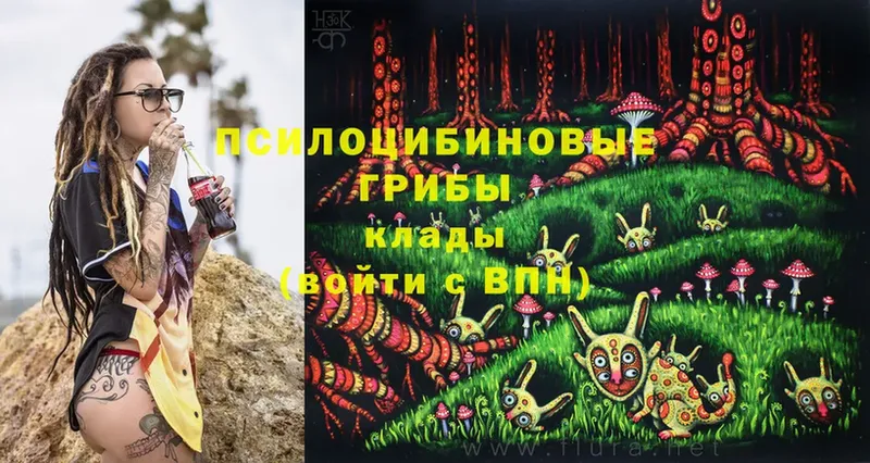 Галлюциногенные грибы Magic Shrooms  Советск 