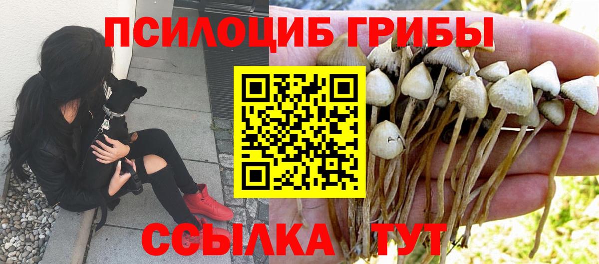 Галлюциногенные грибы ЛСД  Советск  Галлюциногенные грибы ЛСД 