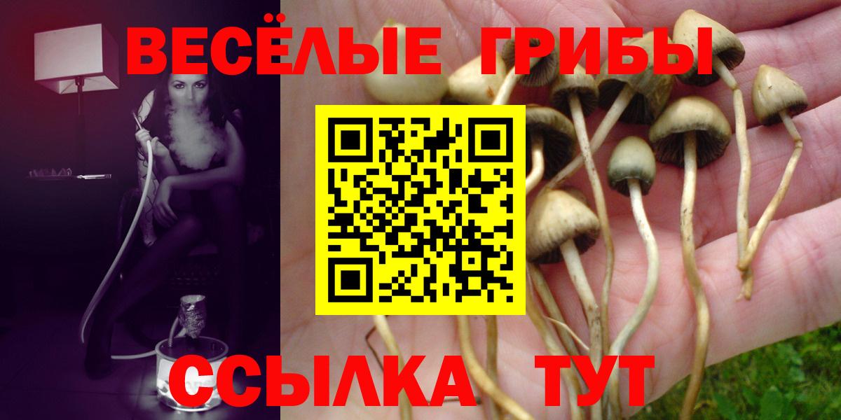 Галлюциногенные грибы мицелий Советск